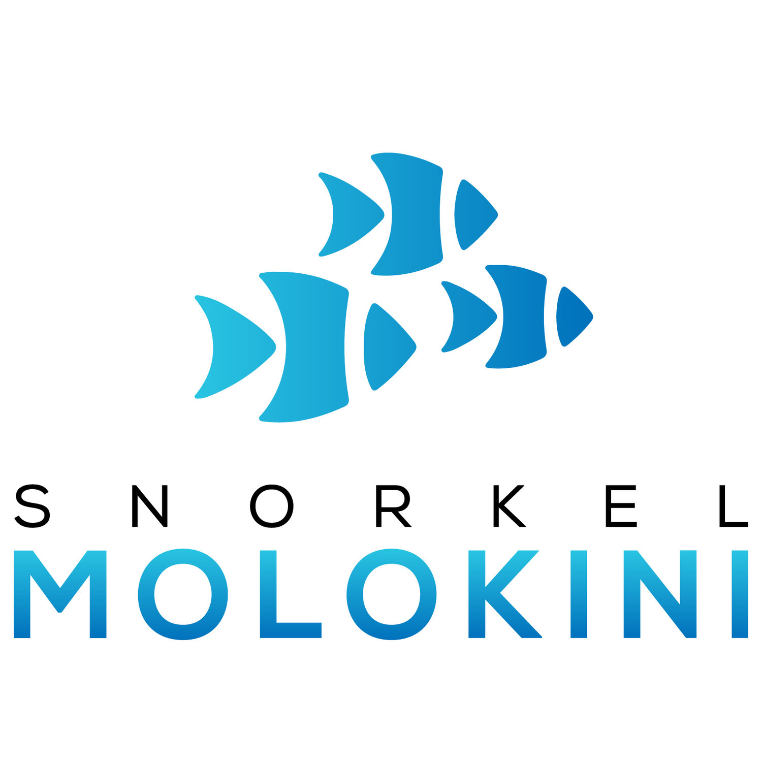 Molokini Snorkeling | Molokini Crater Snorkel Tours