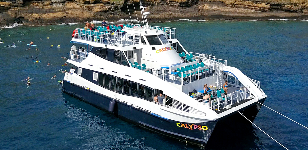 Calypso.jpg
