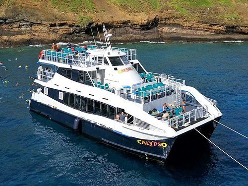 Calypso-Maui-Snorkeling.jpg