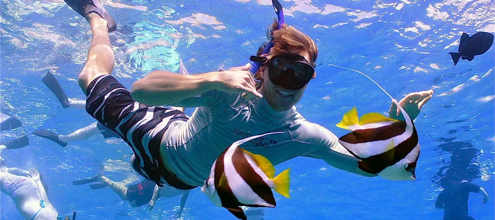 Angel-Fish.jpeg