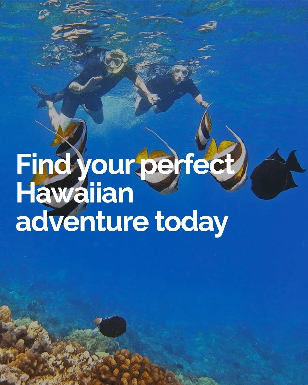 Not sure which Hawaiian activity fits your vibe? Let us guide you!

🌺 For the romantic souls: Sunset sails and beachfront lūʻaus set the perfect mood.

🌊 Adventure seekers: Zipline through lush valleys or snorkel among colorful reefs.

👨&zwj;👩&zw