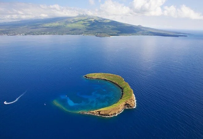 Molokini Crater Snorkeling in July: The Maui Tour That Belongs on Every Hawaii Vacation