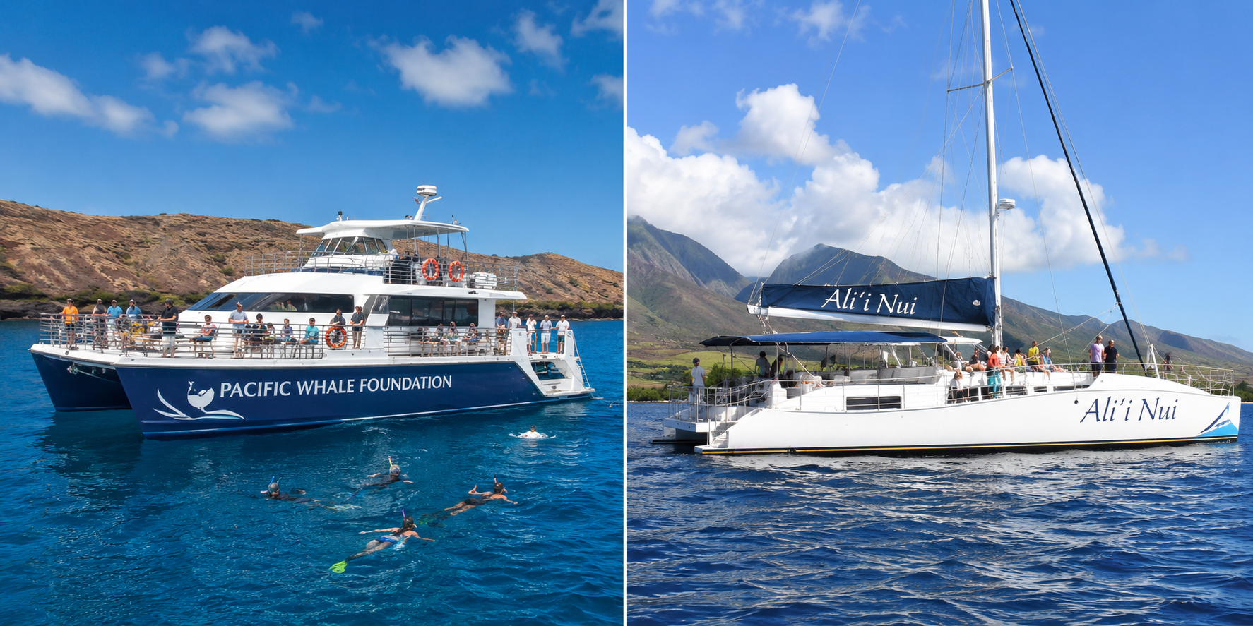 Molokini Crater Snorkeling in July: Pacific Whale vs. Aliʻi Nui – Which Maui Snorkel Tour Is Right for You?