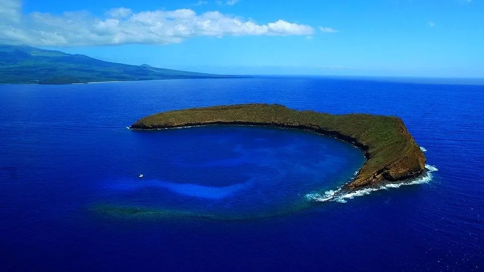 Molokini Crater Snorkeling in July: Pacific Whale vs. Calypso Tours offering Discounts – Which Maui Snorkel Tour Is Right for You?
