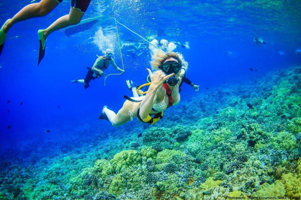 Molokini Crater SNUBA Tours: Aqua Adventures vs. Four Winds SNUBA – Which Maui Underwater Adventure Is Best?