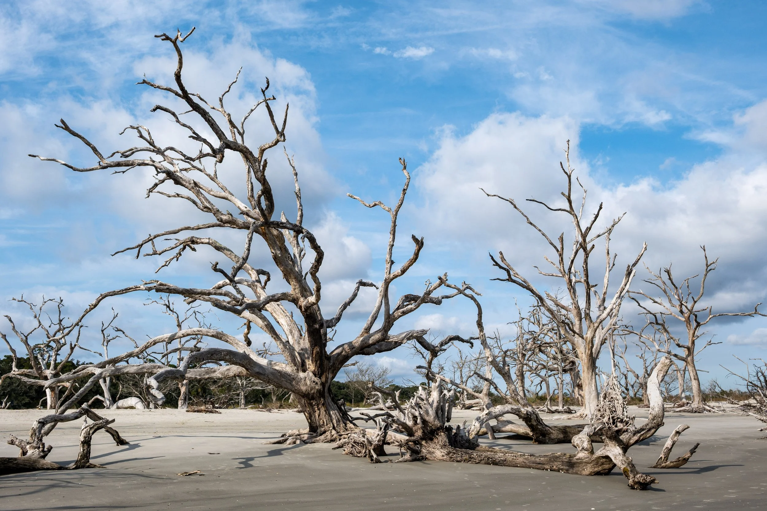 Deadwood Beach | Jekyll Island, GA