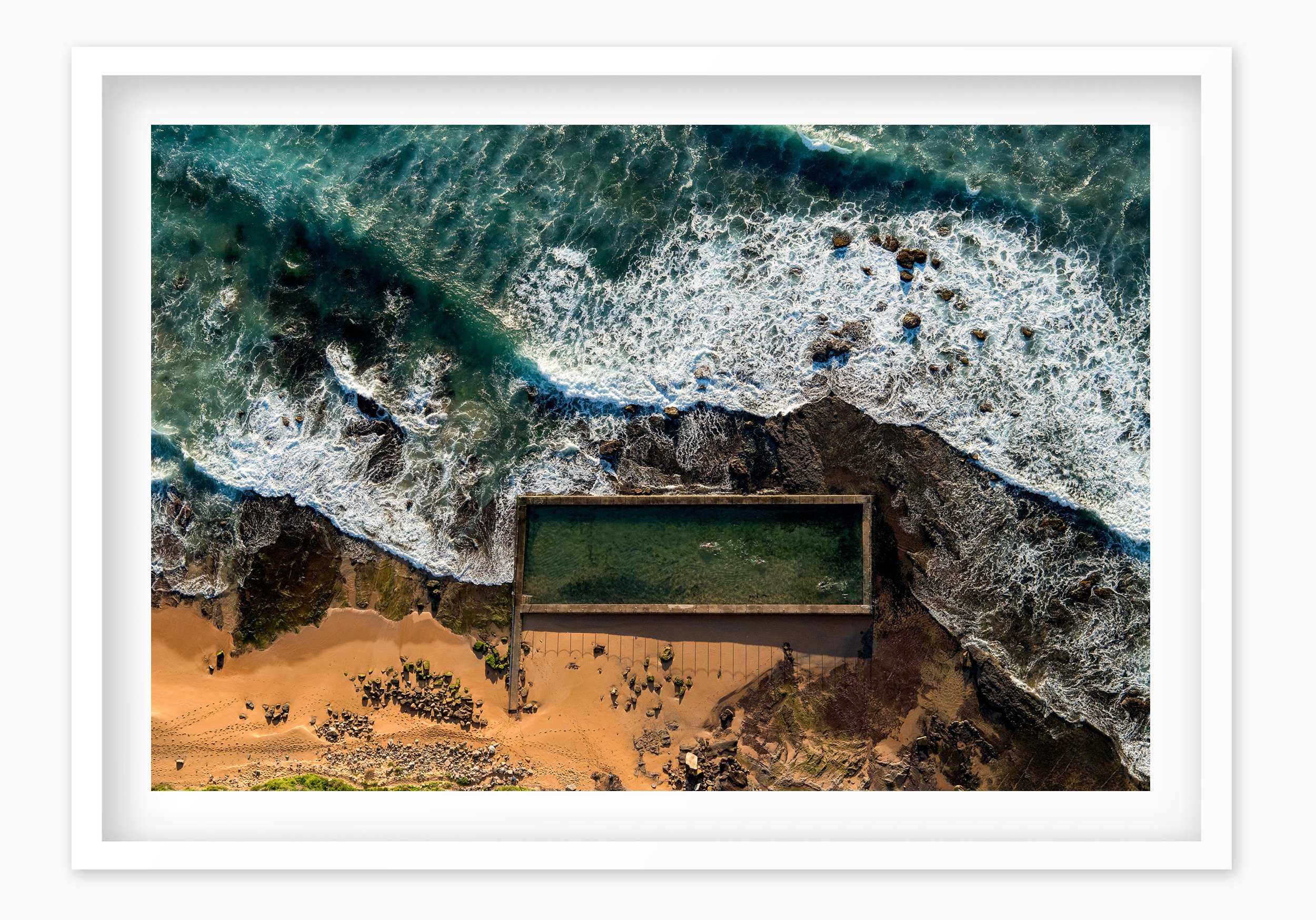 mfsprout_20170602_1032_WhiteBox-Frame-SproutDaily_PrintShop.jpg