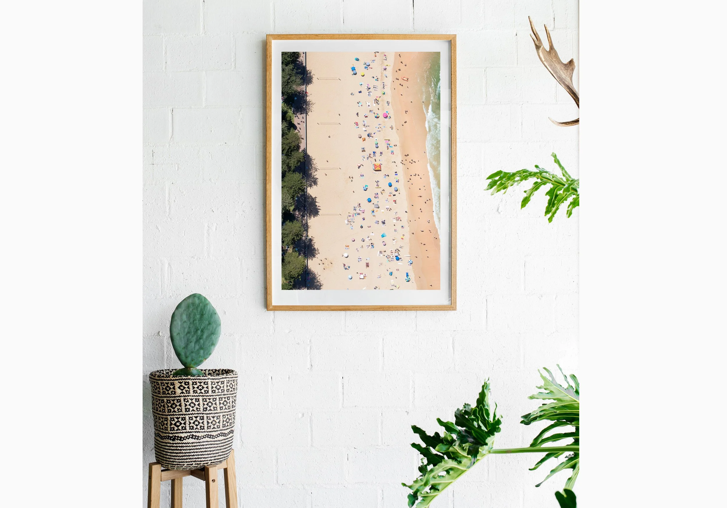 Insitu_mfsprout_20190101-3014_RawOak-Frame_SproutDaily_PrintShop.jpg