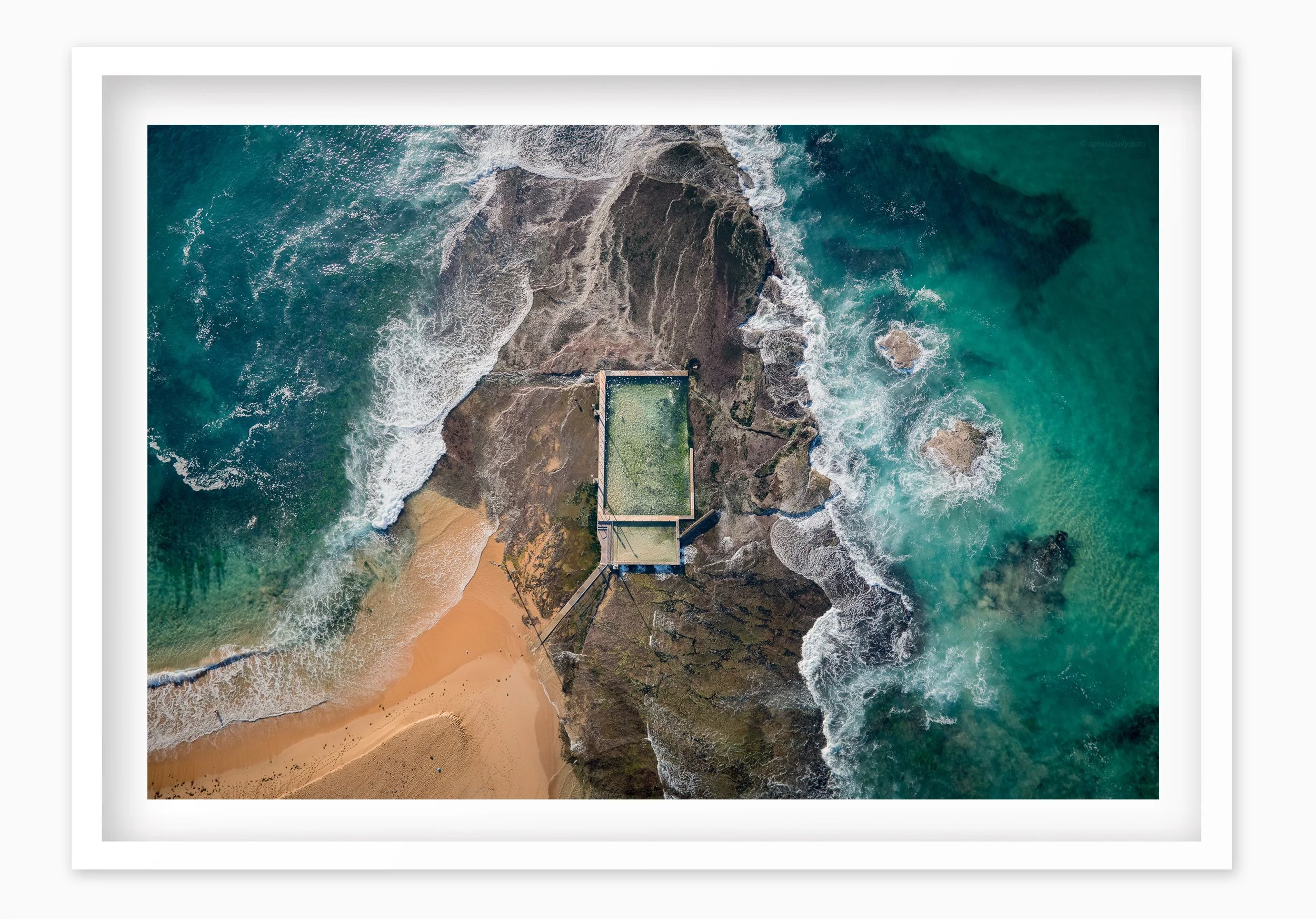 mfsprout_20190815_602_WhiteBox-Frame-SproutDaily_PrintShop.jpg