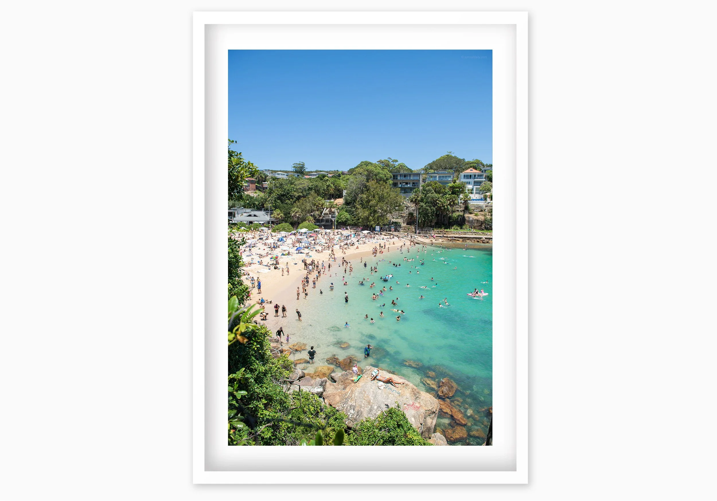 mfsprout_20231230_449-Edit_WhiteBox-Frame-SproutDaily_PrintShop.jpg