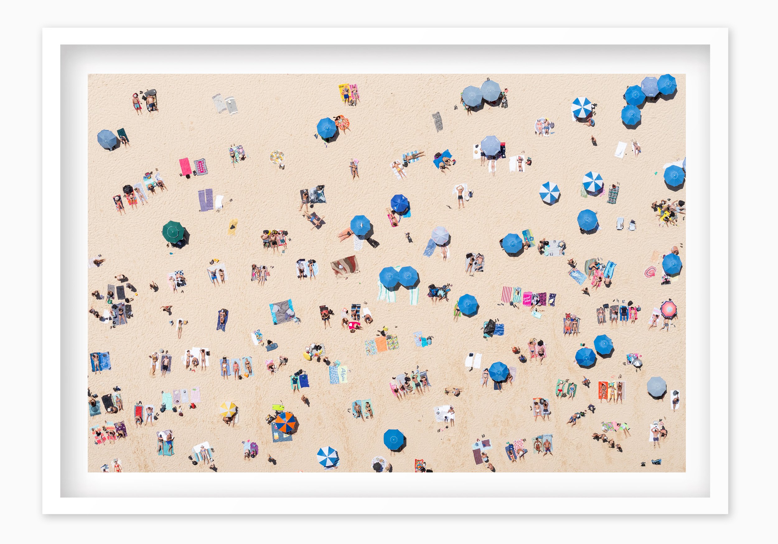mfsprout_20190101-1694_WhiteBox-Frame-SproutDaily_PrintShop.jpg