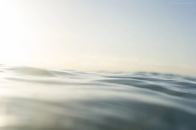 :: Sweet Salty Water