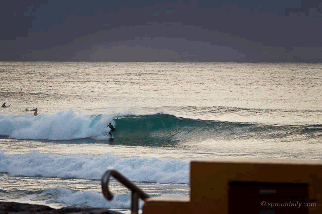 Blocked Content :: Dayyan going mental