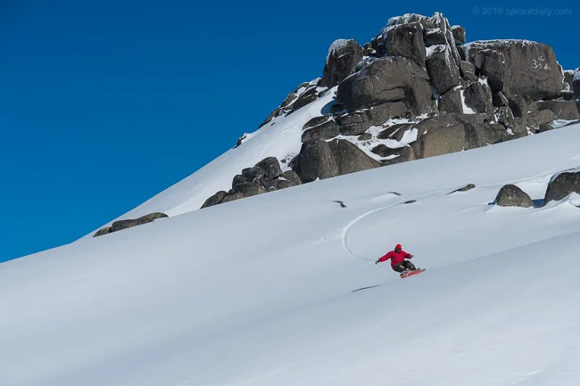 ::  Australian Alpine