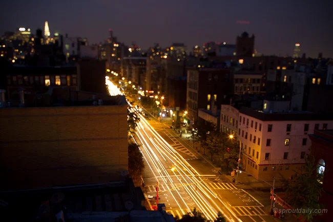 Street Corners, Canyons & Skyscrapers