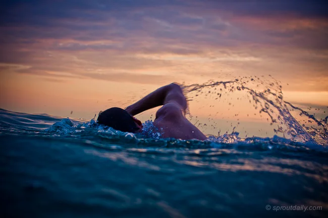 Sunrise Swim