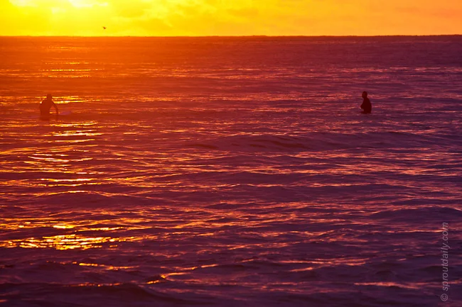 Purple ‘n’ Orange