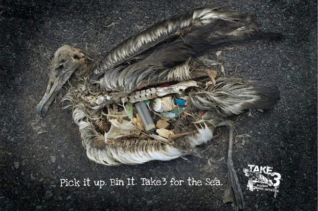 :: Take 3 with Tim Silverwood