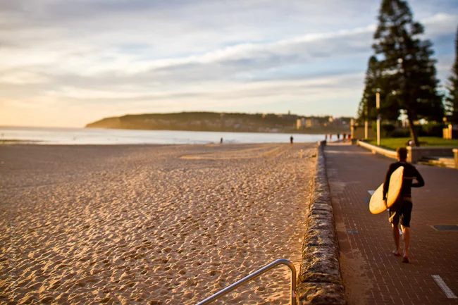 mfsprout_20120111_5-1.jpg