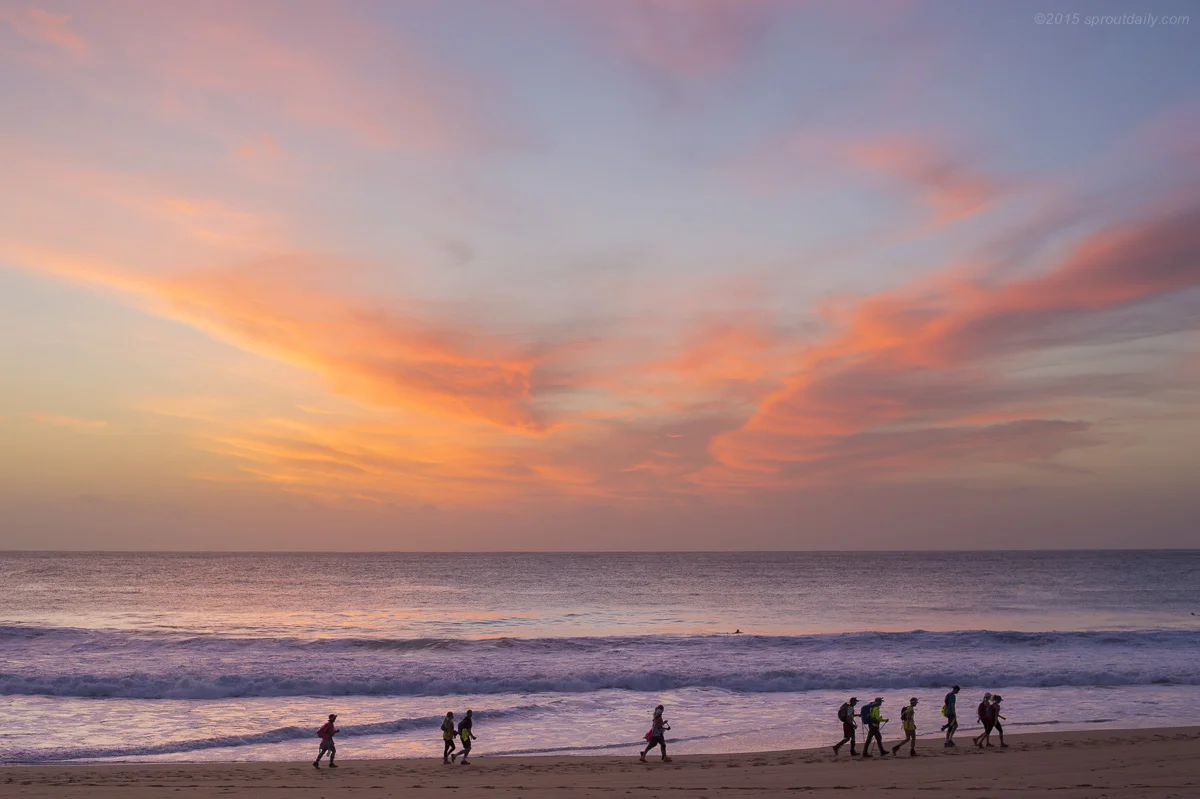 mfsprout_20150306_21-2.jpg