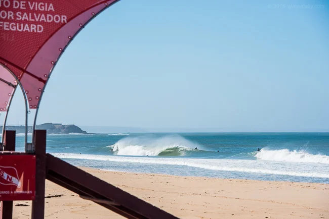 mfsprout_20150918_174.jpg