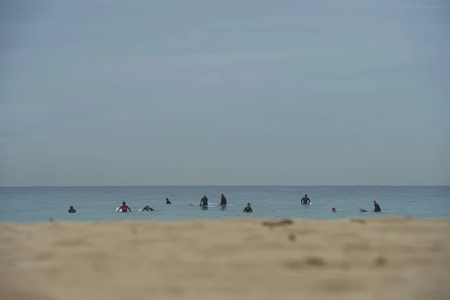 mfsprout_20160408_578.jpg