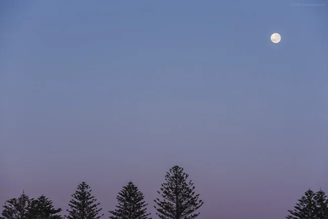 ::  Balance of Opposites 