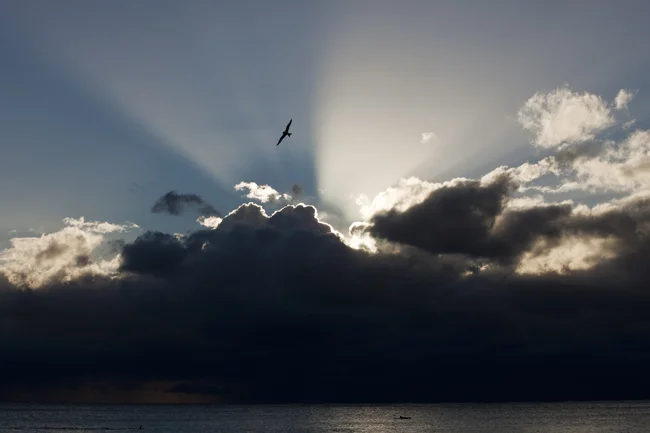 :: The Winds of Change