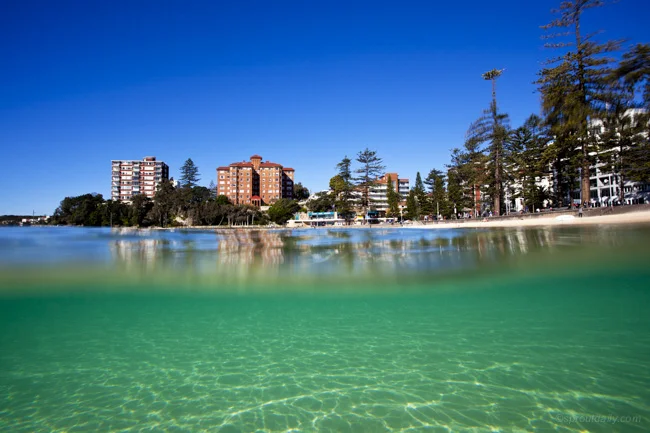 :: Eddie Adam's Supporter Rewards