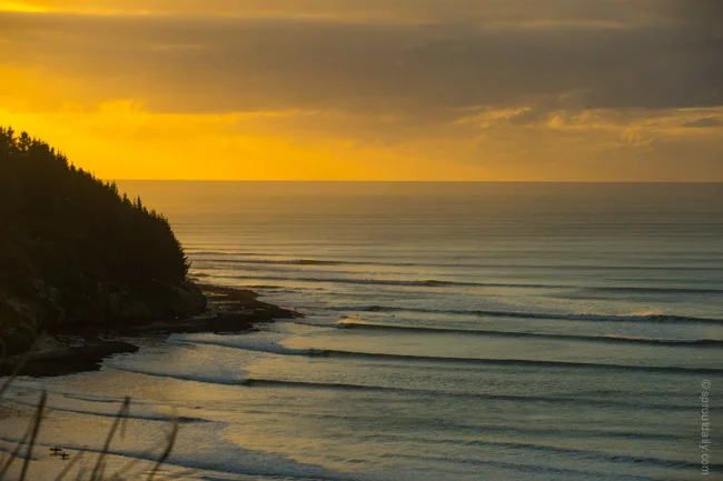 :: Trans Tasman Highlights