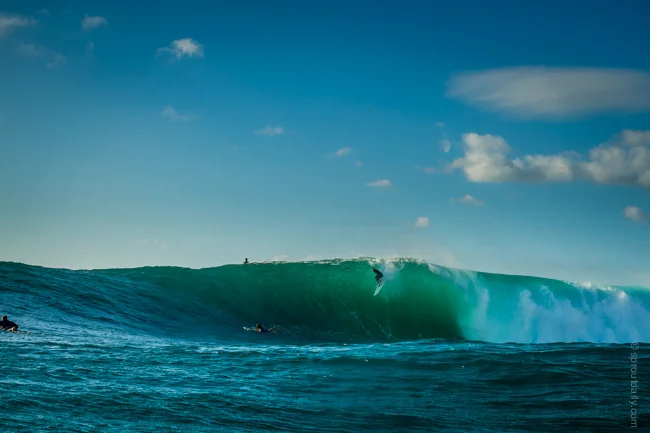 :: First Light Bombie