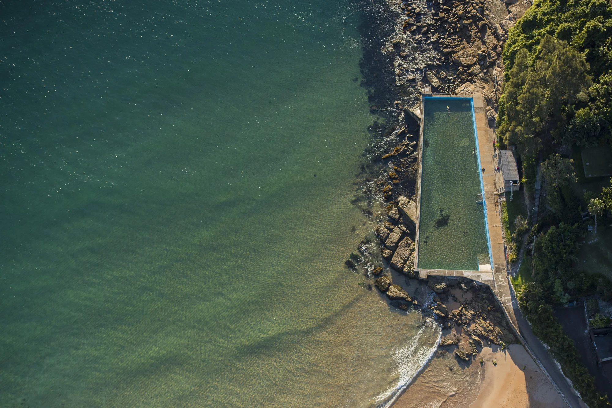 The Palmy Pool