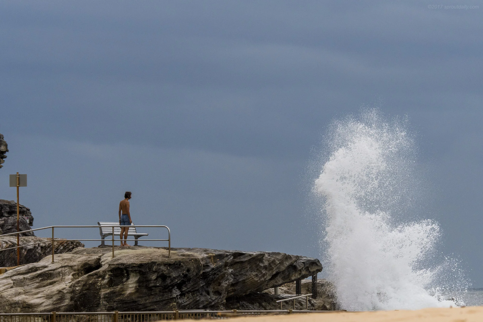 Conversations with the Sea