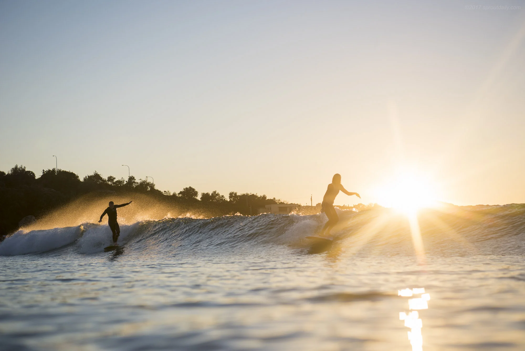Freshwater Sun Burst
