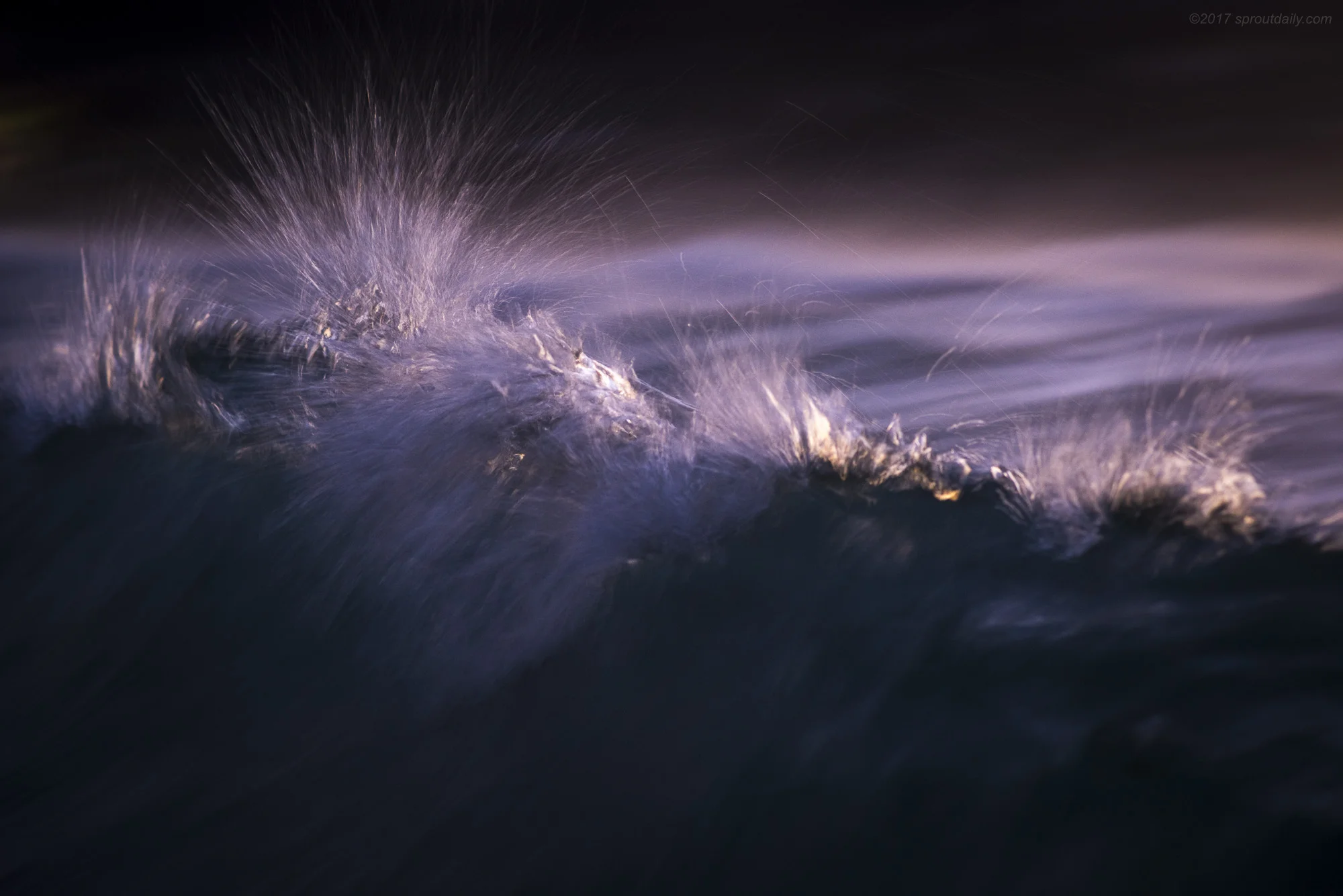 Dark Sparks