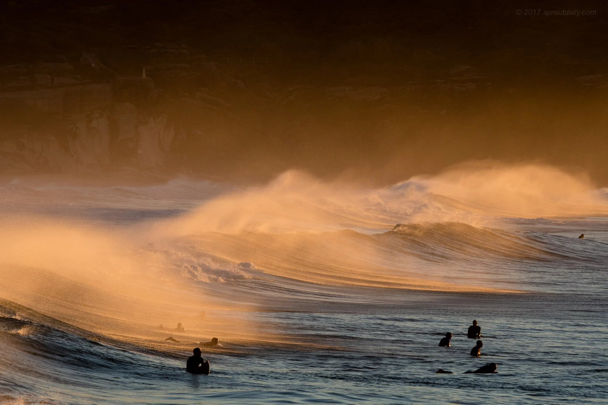 Gold Dust