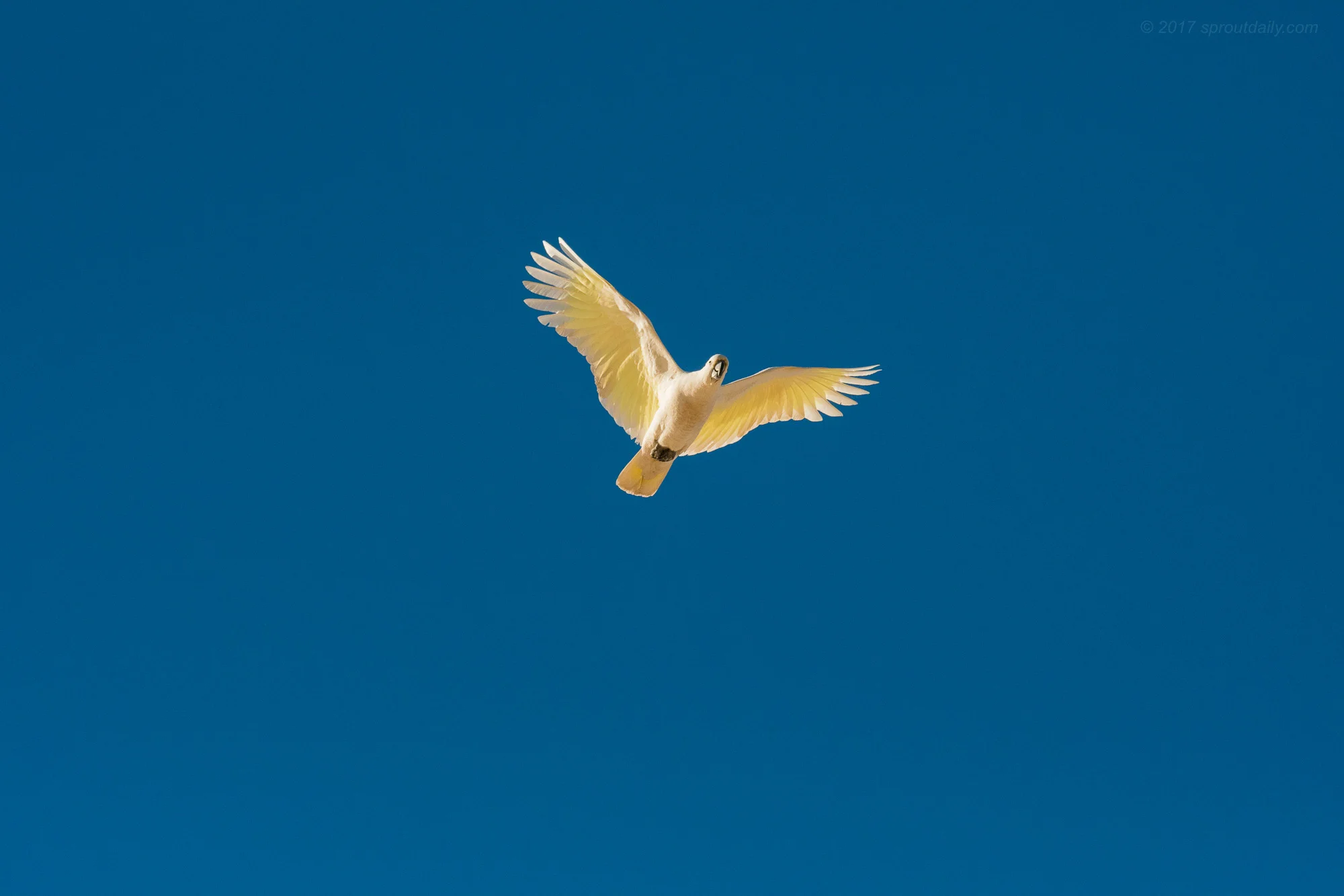 Got to fly!