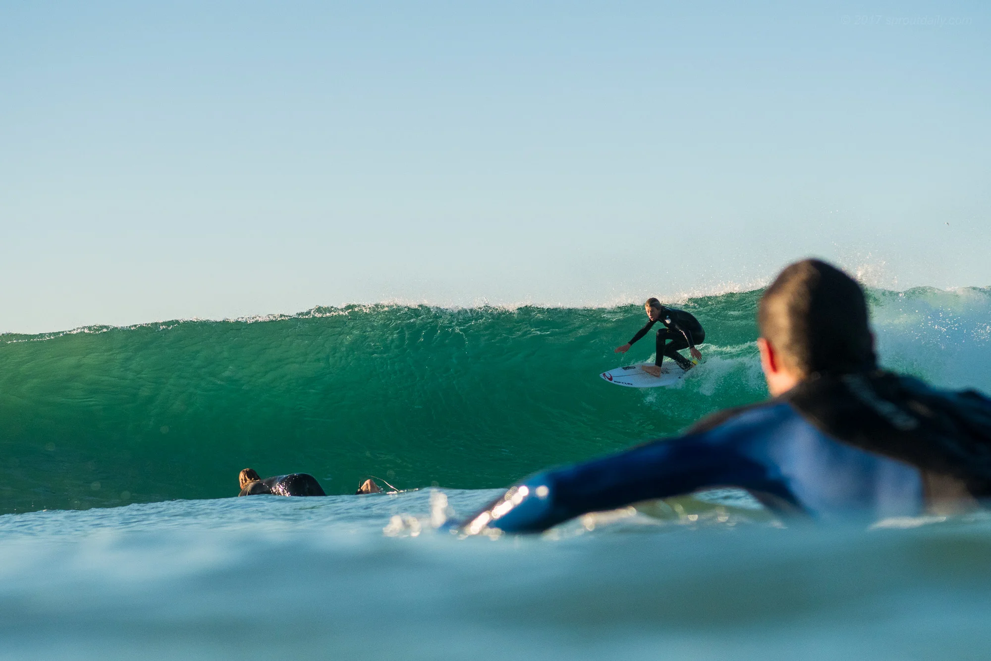 Swell's Back!