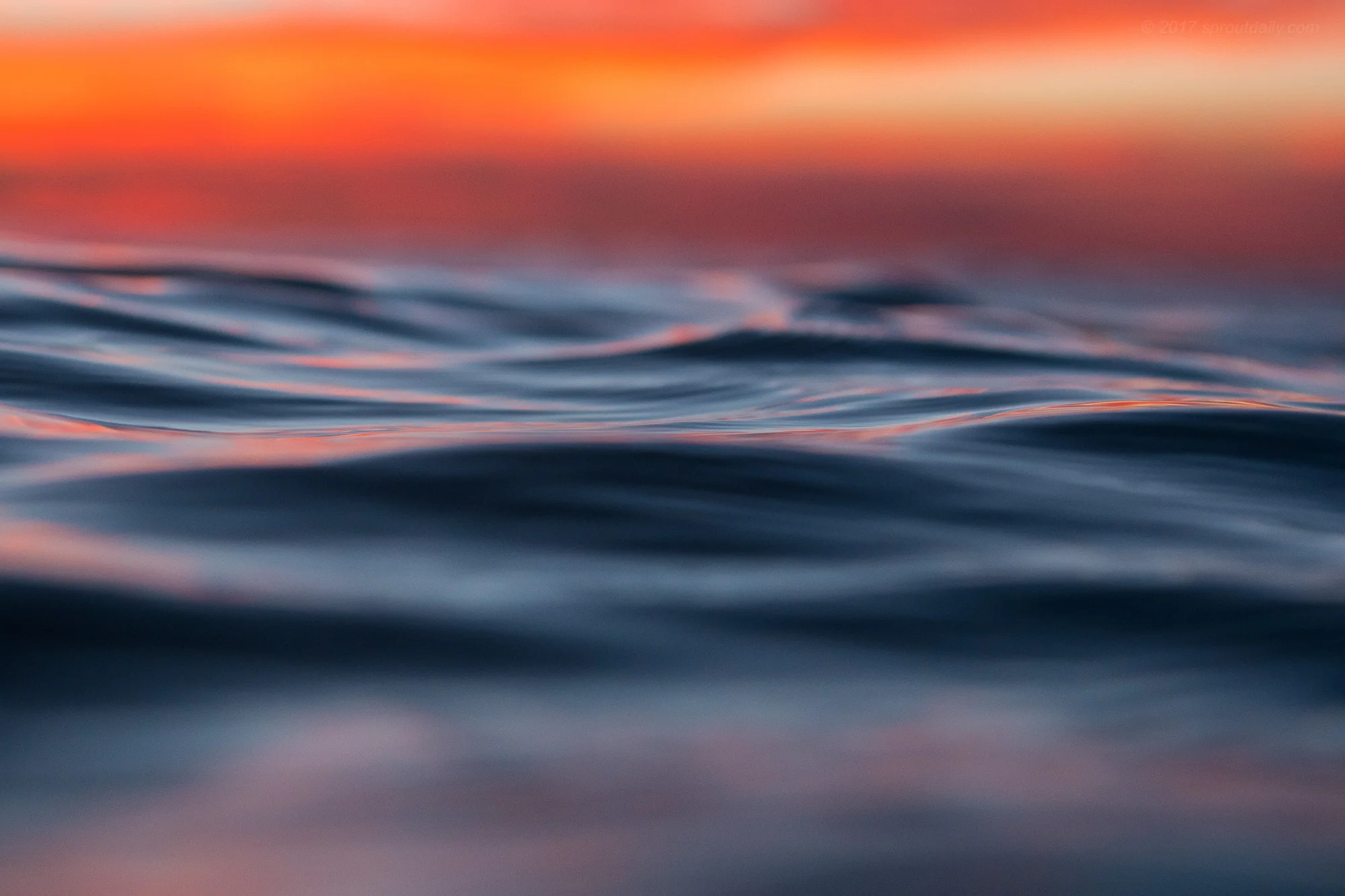 Colour of Dawn