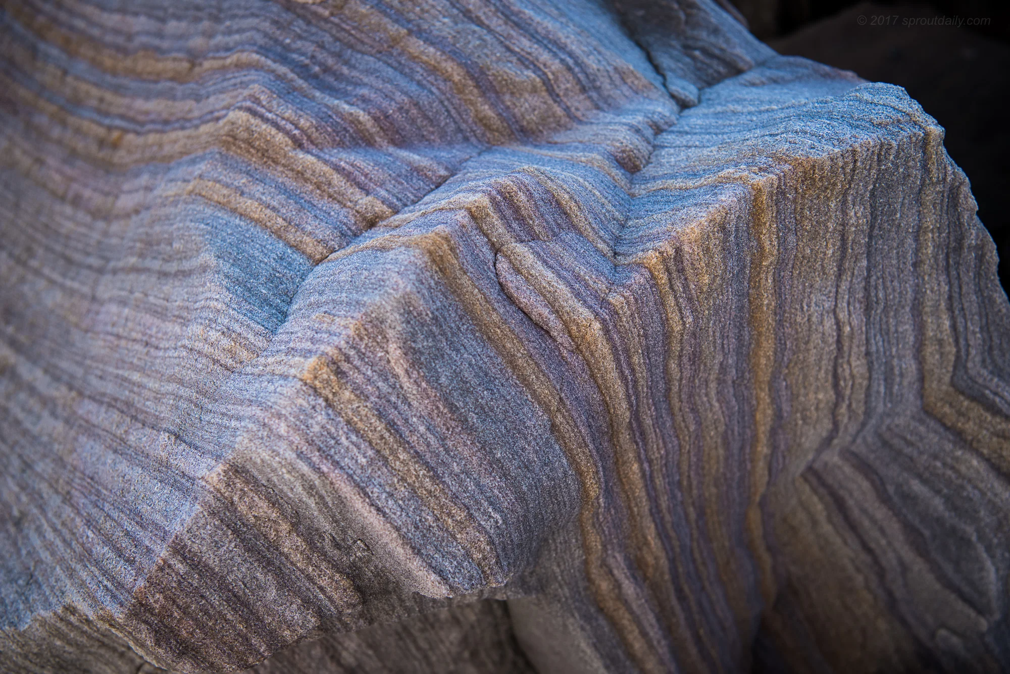 Sydney Sandstone - Beautiful isn't it!