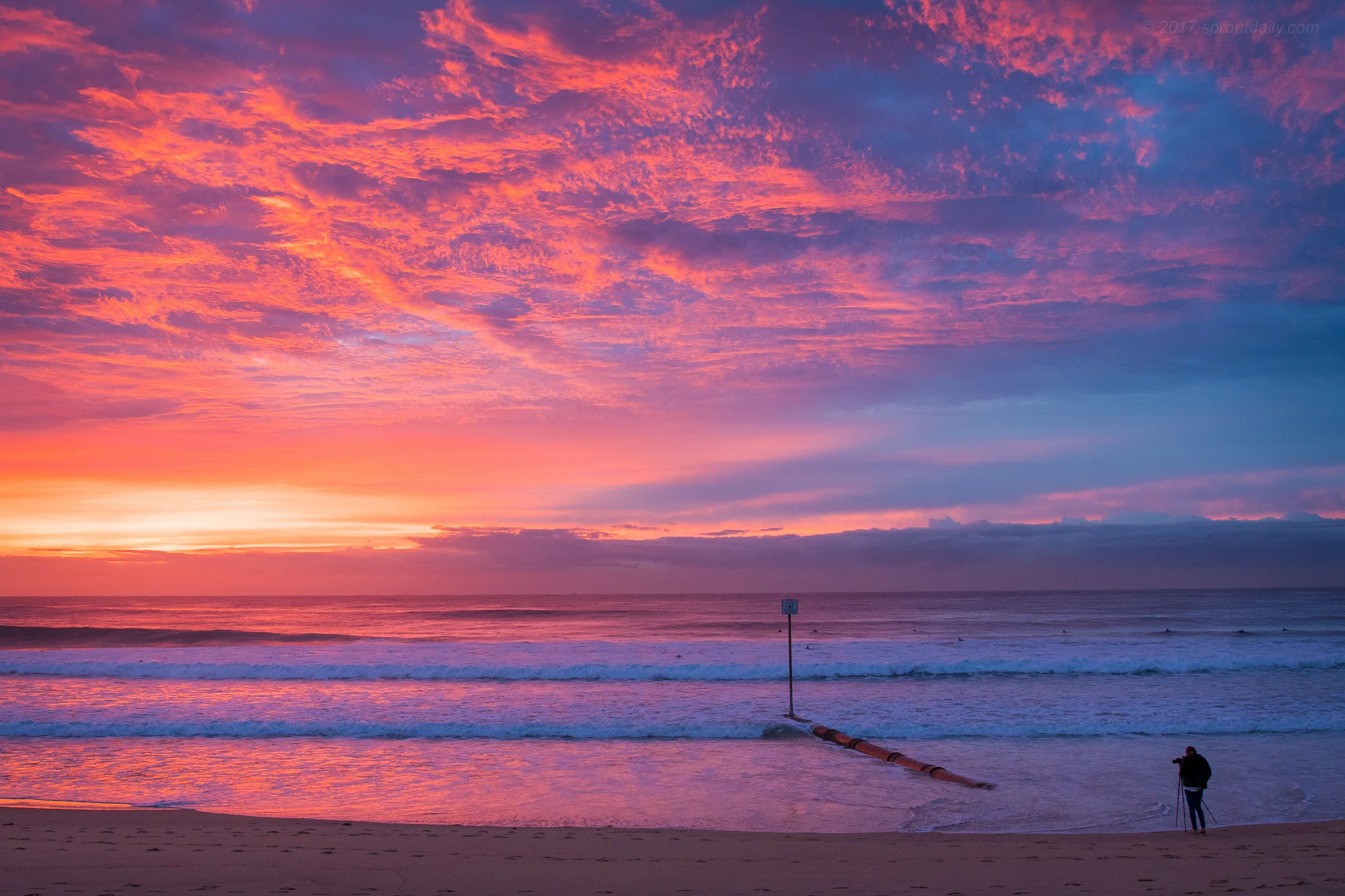 Monday Morning Palette