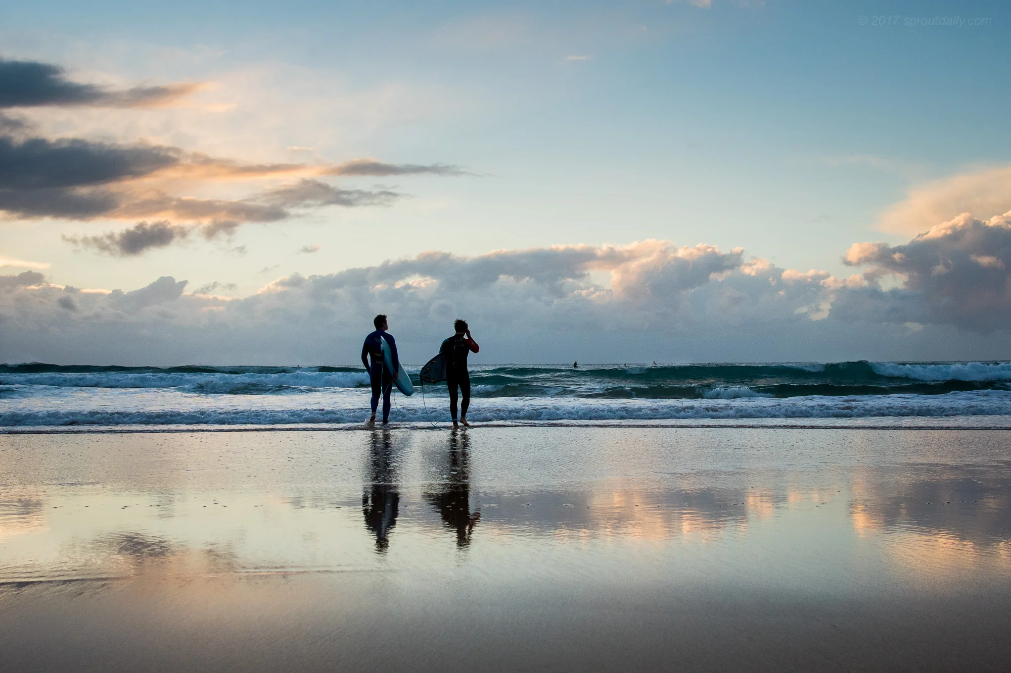 Reflected Horizon