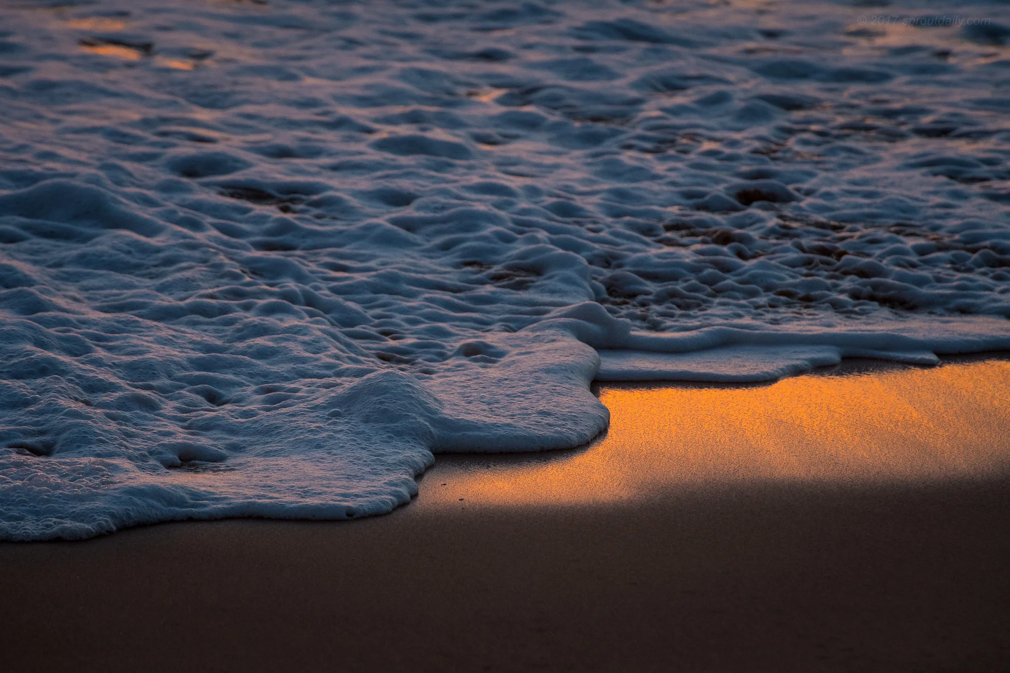 Uncovered Gold