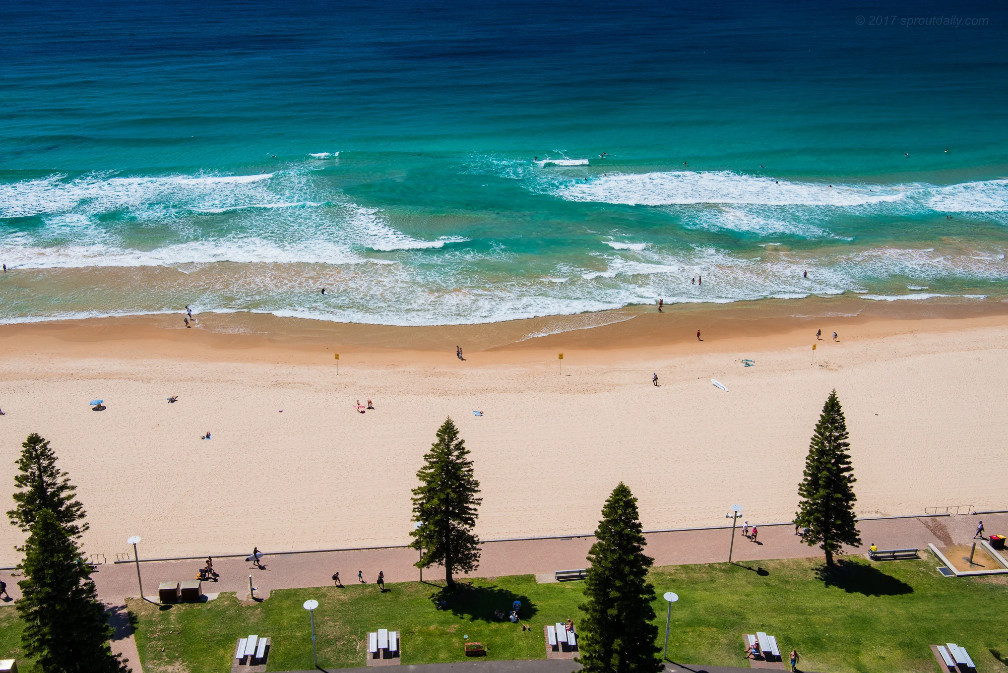 Lawn Sand Sea