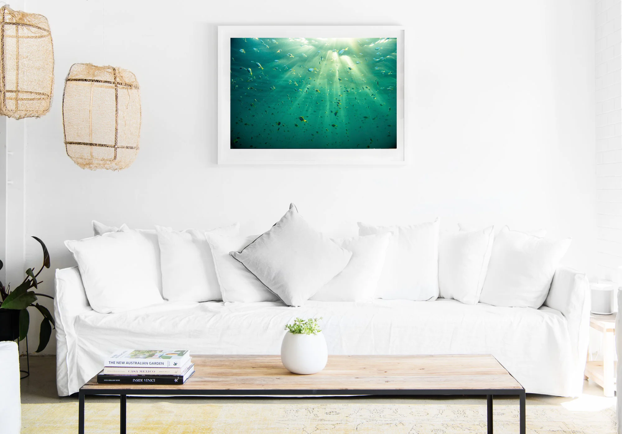 mfsprout_20160519_235-Insitu.jpg