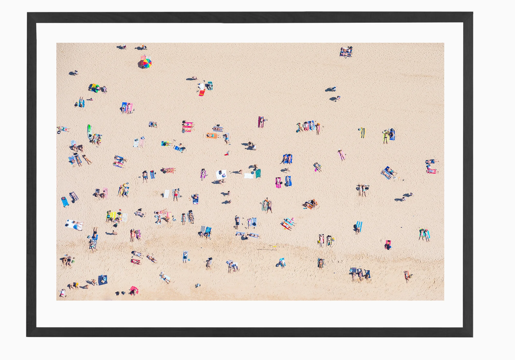 mfsprout_20160406_1470-Black-Frame.jpg