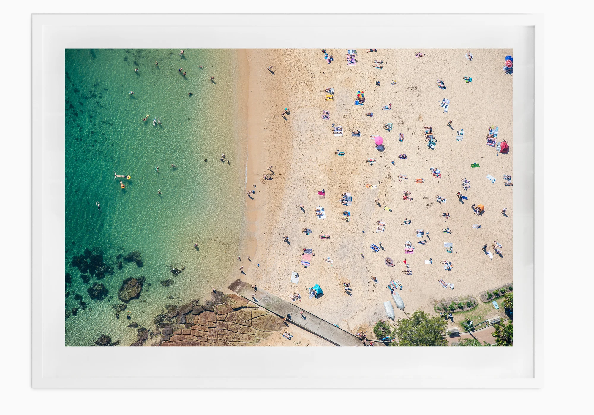 mfsprout_20160406_1716-White-Frame.jpg