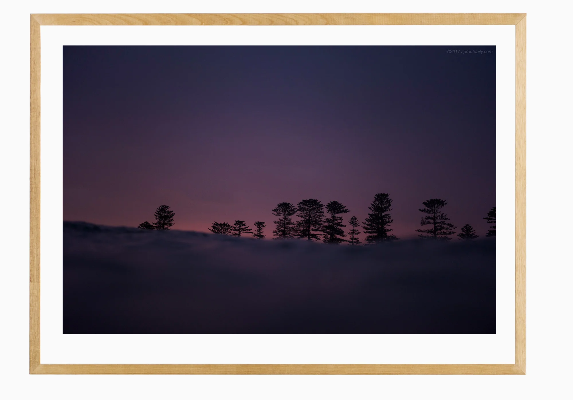 DSC_8294-Tassy-Oak-Frame.jpg
