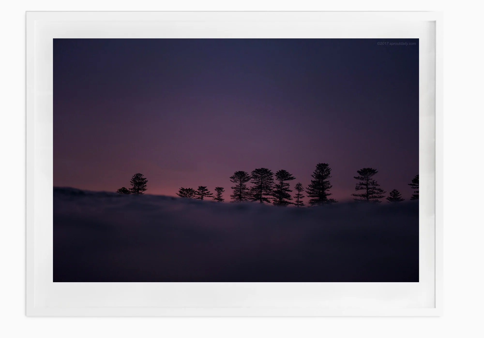DSC_8294-White-Frame.jpg
