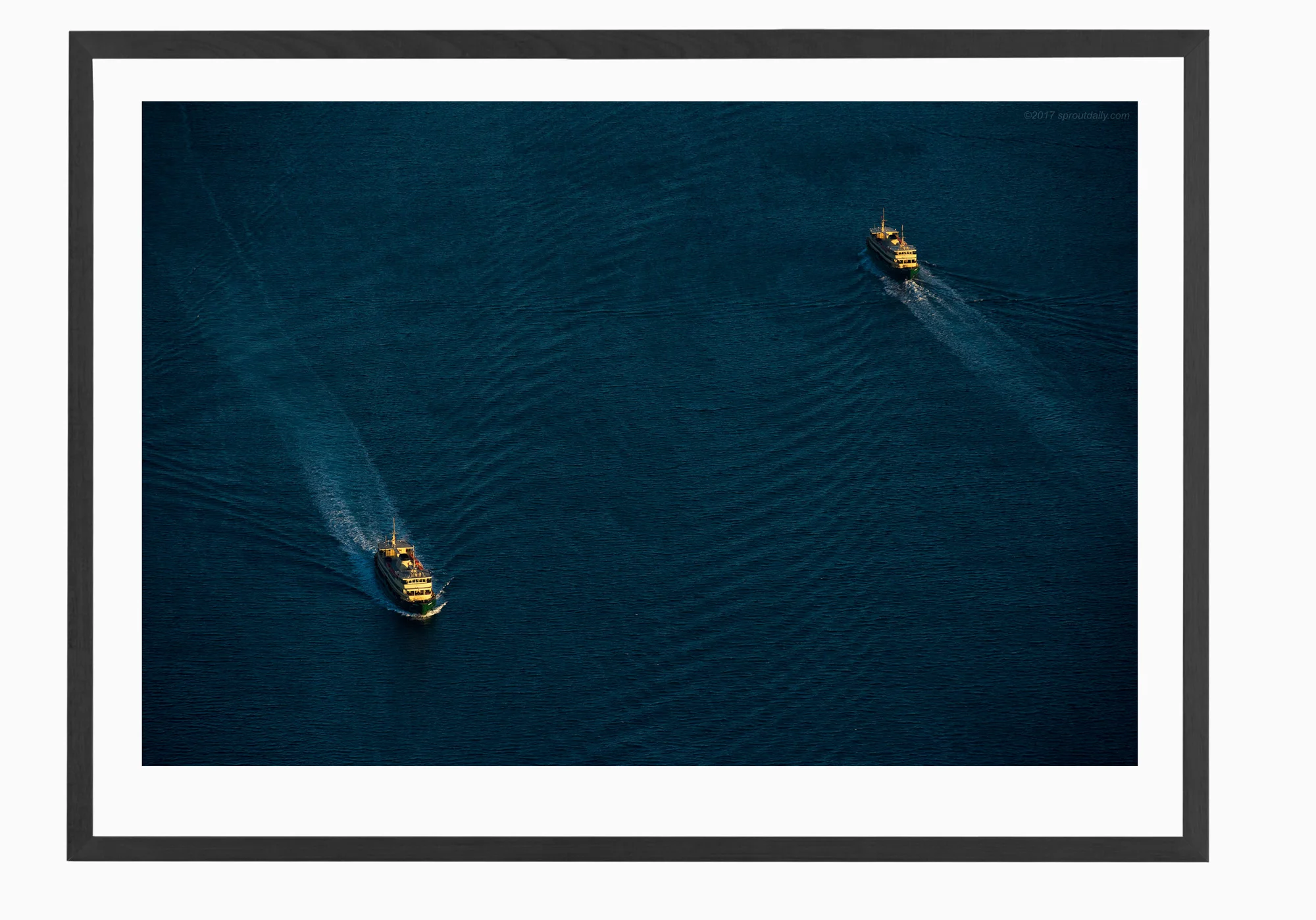 mfsprout_20170602_96-Black-Frame.jpg